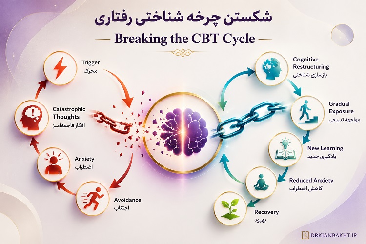 چرخه شناختی رفتاری (CBT) در درمان فوبیای اختصاصی (Specific Phobia)